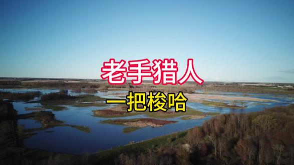 老手猎人 非常有耐心 一把梭哈#人性 #耐心 #猎人#一锅端#提升认知