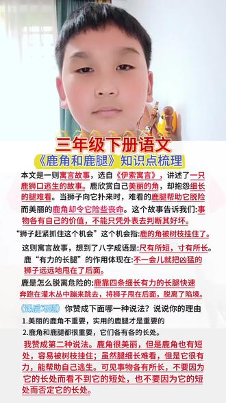 三年级下册语文《鹿角和鹿腿》课文知识点复习#小学语文学习 #语文知识点梳理 #语文学习干货