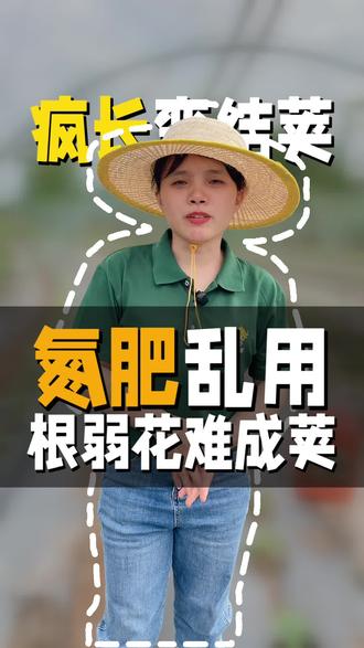 氮肥乱用,豆角根弱,花难成荚!#豆角种植#抖音助农#三农种植#种植小技巧#种植技术