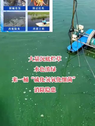 #水产养殖 #螃蟹养殖 #硫化氢超标 #硫氧化菌#去除硫化氢