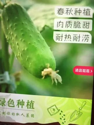 #在抖音入手的好东西