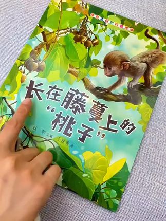 【大开本】神奇的大自然儿童科普绘本全8册3-6岁幼儿园绘本故事书