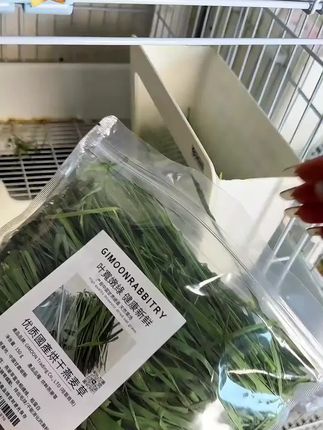 头牌烘干宽叶燕麦草|叶多杆少 |兔兔子龙猫豚鼠适口性好缓解挑食#燕麦草 #兔子草 #兔粮 #兔粮推荐 #兔兔这么可爱