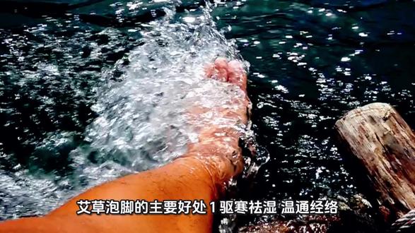 艾草泡脚的好处#涨知识 #知识 #养生