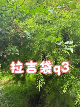 夸孩子也是一门学问要用对方式,不然只能适得其反。#亲子教育 #育儿  #家庭教育  #父母课堂  #干货分享