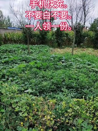手机超级快充,一人领一单,快冲呀 #手机快充数据线#充电器 #爆款热卖中 #超便宜超划算#薅羊毛的快乐
