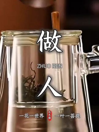 #飘逸杯泡茶壶 #茶具 #茶具好物推荐 #飘逸杯 #泡茶壶