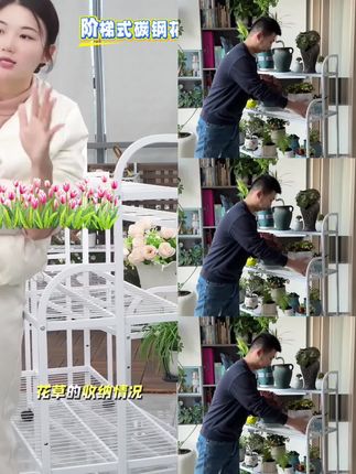 阶梯式碳钢花架圆弧落地式客厅多层花架子多肉绿箩盆架户外置物架#方便又实用 #好清洗 #好物推荐🔥