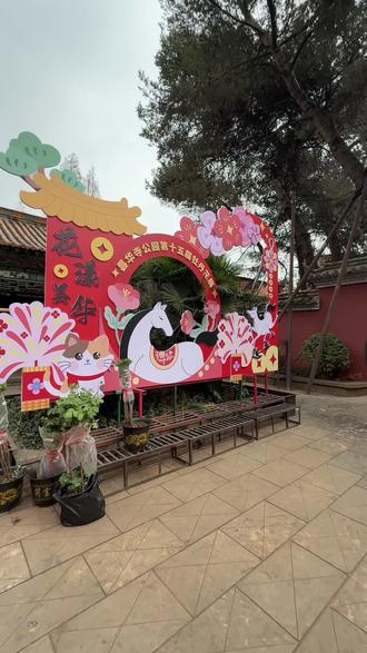 一年一次的昙华寺牡丹花展,特别有意义,里面又好玩又漂亮,票价也很划算!千万不要错过!#牡丹花展
#昙华寺
#昙华寺牡丹花展
#想去云南的心达到巅峰