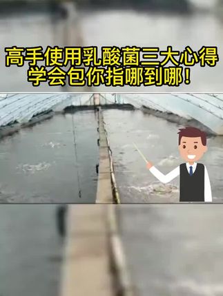 #水产养殖#帮邦乳酸菌