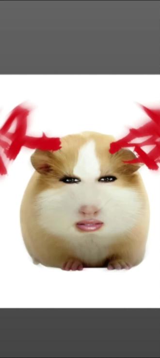 #豚鼠 还是抽象版猪妞最权威 #姐姐平时都画这么浓的妆吗?#对付卡哇伊版猪妞,#绰绰有余