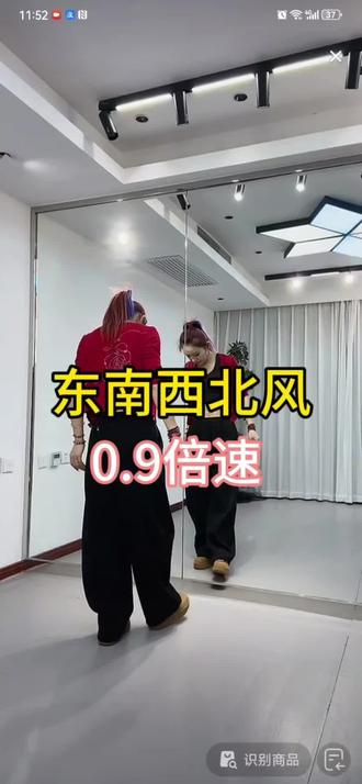 东南西北风 小雅教学0.9倍速#广场舞