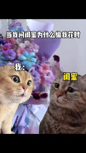 送真花?还能偷花?#我的花园世界 #玩游戏送真花