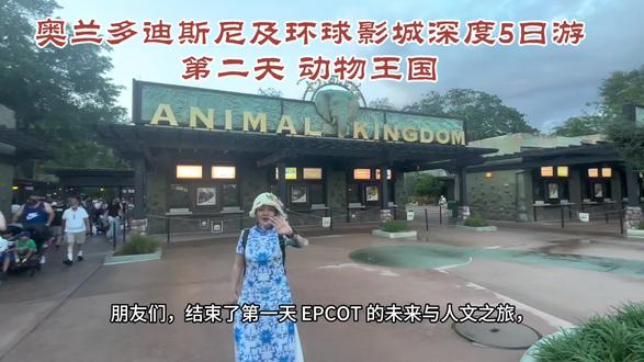奥兰多迪斯尼及环球影城深度5日游/第二天 动物王国#奥兰多迪士尼游玩攻略