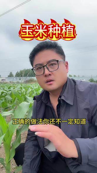 #玉米 这个方法你知道吗?#玉米种植 #三农 #玉米管理