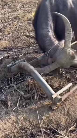 时间不会回头,我也只珍惜当下所拥有的 #外卖日记 #外卖小哥 #搞笑 #在拍一种很新的vlog @抖音小助手