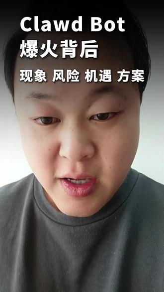 Clawd Bot 爆火背后 现象 风险 机遇 解决方案 #龙悟IP智能体 #ClawdBot部署教程 #ClawdBot #分口 #机遇