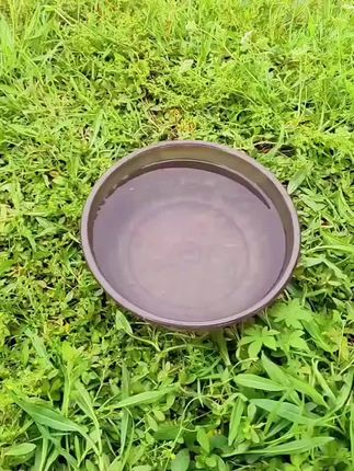 #活鱼桶#活鱼桶加厚 #活鱼桶推荐 #活鱼桶多功能 #活鱼桶打水桶