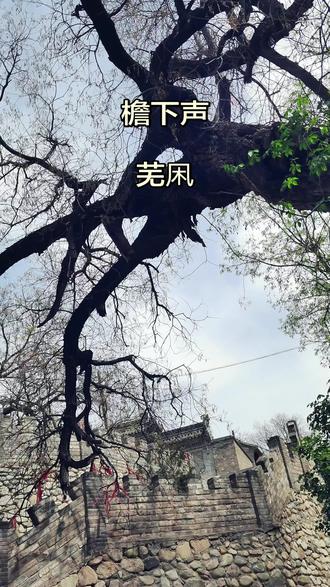 #上热门 歌曲《檐下声》是一首意境温柔、充满怀旧与心事的古风歌曲,主要表达了对逝去爱情的深切怀念、遗憾与无法释怀的思念,同时传递出宁静治愈的氛围,引导人们与过往和解、接纳遗憾、珍惜当下。
歌词通过“檐下声”(如风声、竹响)象征等不到的回响,“指尖一转旧纸微黄,案前灯影落在你眉旁”勾勒岁月斑驳的旧景,“风掠过廊檐下竹响,一声又一声像你低声讲”以自然意象勾起往昔回忆,“茶未添香水先温凉”道尽物是人非的落寞,“琴声慢诉山河,一弦一字都是你”将眷恋寄于琴音,尽显对旧人的念念不忘。
旋律悠然治愈,“茶未添香,水先温凉”的淡然歌词,让人在温柔旋律中与过往和解,放下执念,学会接纳人生不完美,珍惜当下,寻得内心的从容与心安。