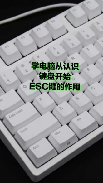 #Excel技巧#Word办么技巧#Esc作用