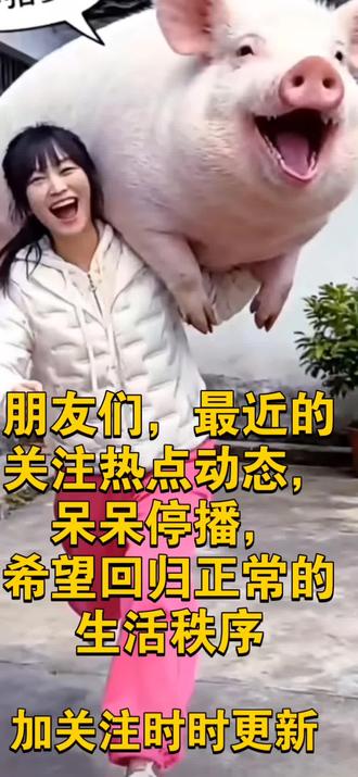 呆呆合川刨猪宴现状#合川刨猪宴#呆呆#健康 #健康科普#医不好的痛