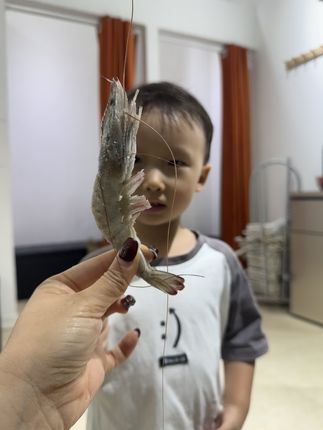 我的小小代言人#馋哭隔壁小孩 #乖孩子