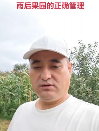 雨后果园的正确管理#膨果增甜 #膨果肥 @DOU+小助手