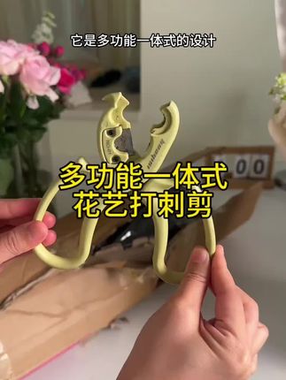 既能打刺又能剪枝的,这把一体式打刺剪,价格也很划算,一把剪刀代替了打刺钳和花枝剪两样东西,真的太方便了!#花艺 #花艺资材 #花店用品 #打刺剪 #花艺剪