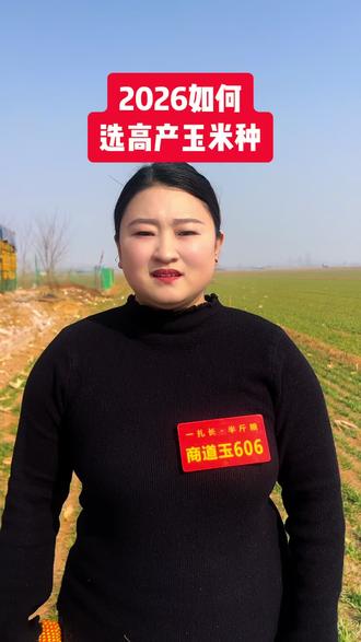 2026如何选高产玉米品种#高产玉米种子 #商道玉606#农业种植 #三农#商道种业