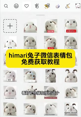 兔兔表情包,himari兔子表情包微信版保存教程,himari兔子表情包,你背着我有别的兔兔啦?我只有你一个兔兔呀,兔兔歪头表情包,兔兔表情包微信怎么搜#兔兔表情包 #himari兔子表情包 #himari#himari兔子头像#剪映