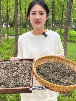 来自湖北深山的翻白草绞股蓝来了,自然晾晒干净无杂不熏硫#翻白草 #绞股蓝