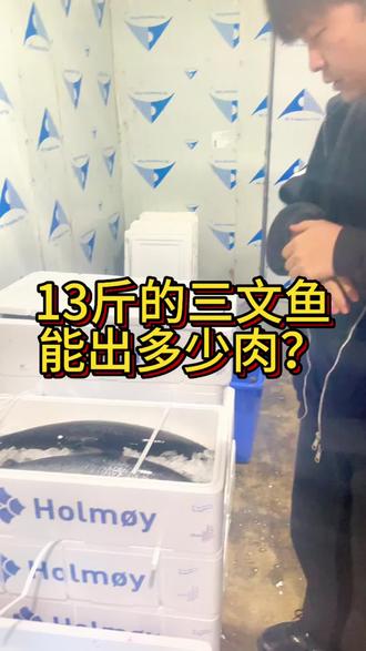一条13斤的鱼去皮去骨去刺之后,能吃的部分就这么点儿???#三文鱼刺身 #水产人