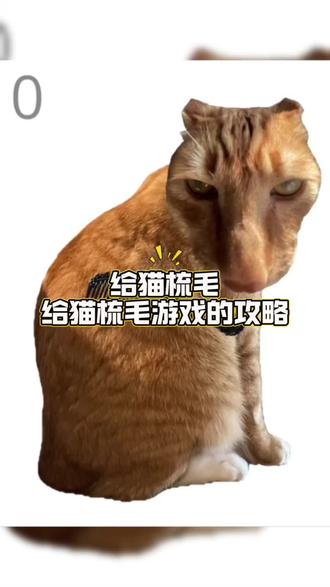 @光环助手APP #光环助手 给猫梳毛游戏攻略 给猫梳毛游戏玩法 #给猫梳毛 #给猫梳毛攻略 #给猫梳毛游戏 #给猫梳毛攻略