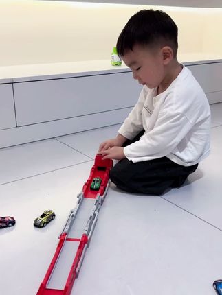 #益智玩具 玩的不亦悦乎呀