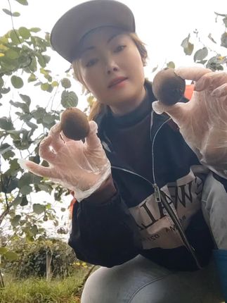 我又来啦,这是我家的翠香猕猴桃。还是一如既往的甜。