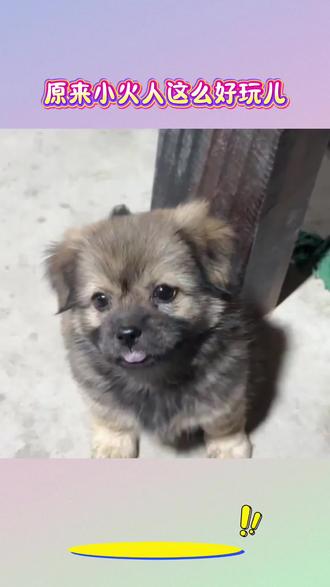 原来小火人这么好玩儿#多闪app #小火人AI聊天 #多闪