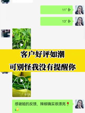 客户反馈炸锅,园大头效果真香,好评如潮#辣椒 #辣椒种植 #辣椒种植技术 #辣椒高产 #辣椒高产稳产秘籍