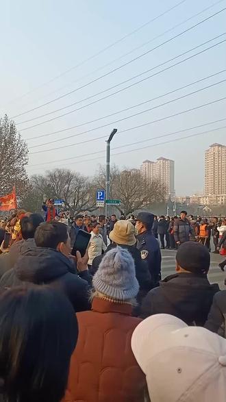 丝绸之路——来自东天山的骆驼队,即将抵达终点洛阳 #场面壮观 #骆驼#活跃账号