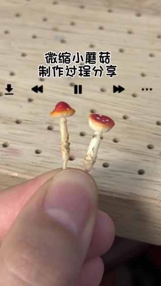 微缩小蘑菇制作过程来了
#微缩场景 #微缩蘑菇 #粘土 #粘土教程