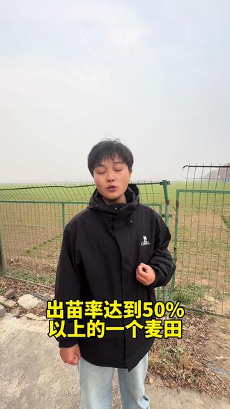 小麦年前还是一根针#种地 #小麦