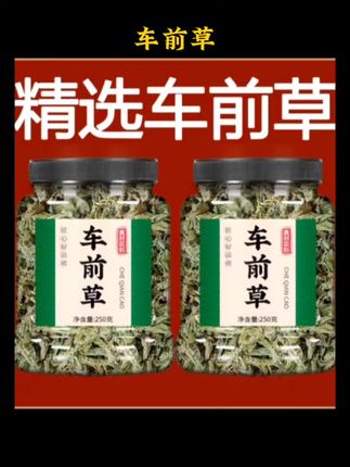 #好物推荐🔥 #车前草 #滋补 #内容启发搜索