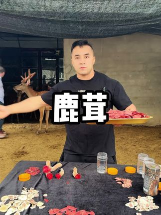 每天都会现切鹿茸#强烈推荐 #鹿茸 #好物推荐🔥 #健康食品