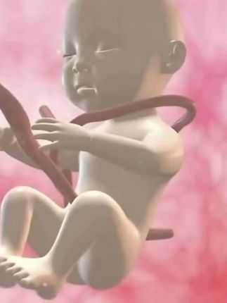 孕三个月千万不要直接侧睡了!。肚子整晚坠着根本睡不好,赶紧安排孕妇枕,前托肚子后垫展,生完还能给宝宝当床中床,斜坡枕,完全不闲置!#孕妇枕推荐 #怀孕 #孕期