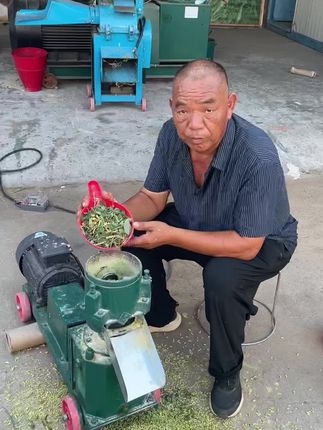 #猪马牛羊鸡鸭鹅兔鱼虾蟹都适用 家用160型饲料颗粒机