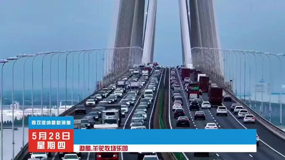 勐腊.羊驼牧场乐园,5月30日正式开启#勐腊羊驼牧场乐园#旅行推荐官 #动物园 #亲子游玩好去处 #周末去哪玩 @DOU+上热门 @抖音小助手