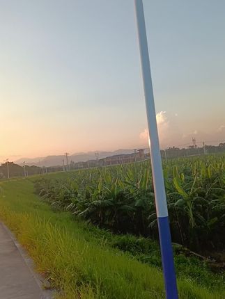 #稻田风景视频 #農村生活