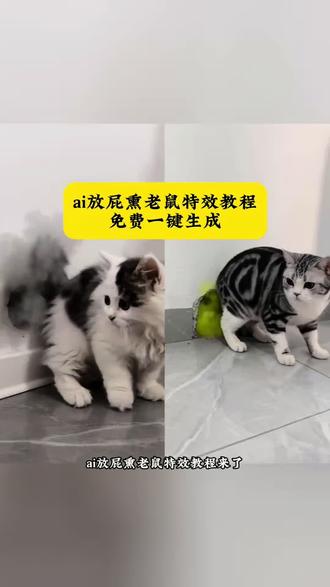 ai放屁熏老鼠特效教程#ai屁熏老鼠趣事 猫咪对老鼠放屁 ai屁熏老鼠创意 ai菊花猫放屁制作教程 ai屁熏老鼠在哪玩 ai放屁 热成像猫咪放屁 热成像猫咪放屁特效教程 猫咪对老鼠放屁#小云雀AI #小云雀爆款马上成片 #小云雀seedance #芯有云雀创作飞跃