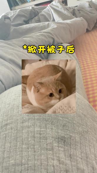 所以肚子里的ta是怎么感知到的? #记录我的孕期日常 #胎动 #我的卸货倒数日记 #怀孕日记
能隔着肚皮精准分辨妈妈跟其他人的手,能分辨是露着肚子还是被盖着?