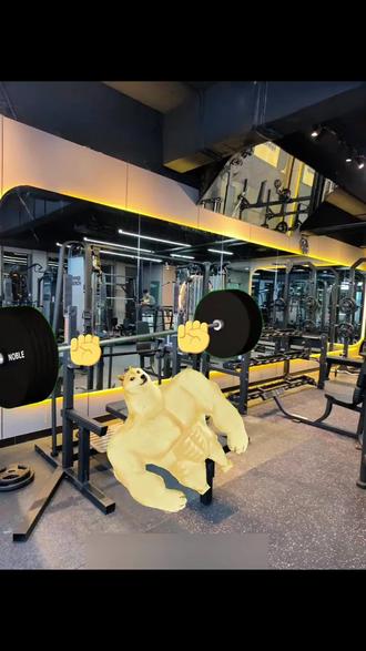 我亲身体验的不幸
#健身 #新手健身 #生活服务热点中心 #猫meme #猫meme小故事