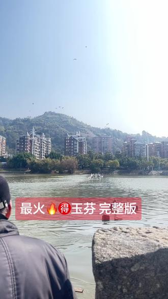 玉芬是谁唱的出来解说一下#玉芬#玉芬完整版